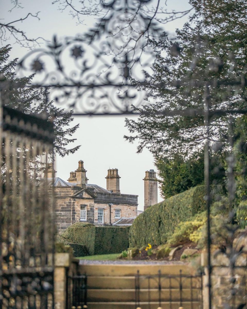 Gateway to a new way 

#sanctuary #newwayofbeing #gate #natu...