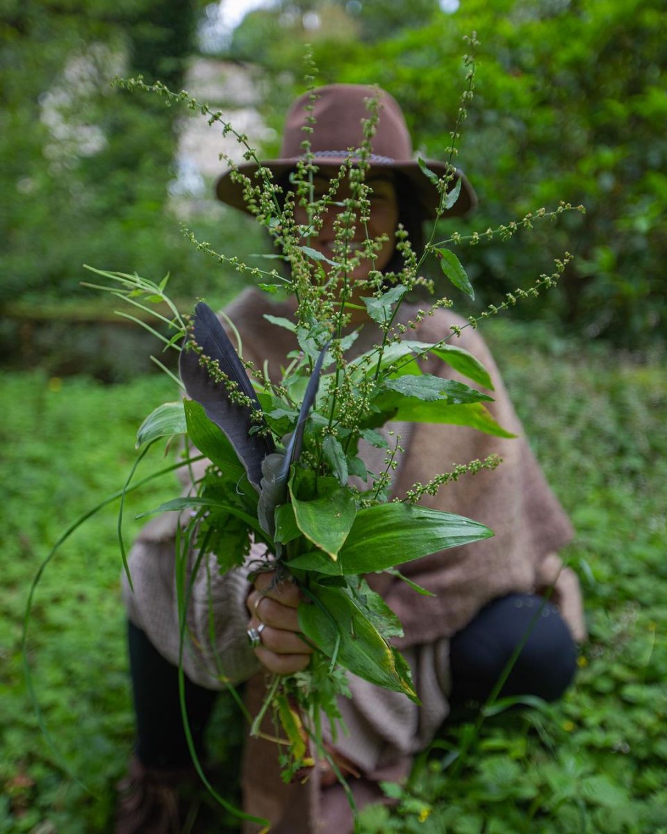 Land as pharmacy 

#sanctuary #plantmedicine #forage #earthw...