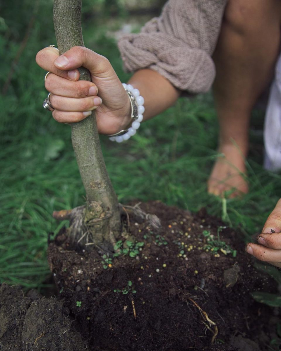 We cultivate our inner nature as we cultivate our outer natu...